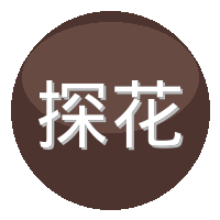 探花